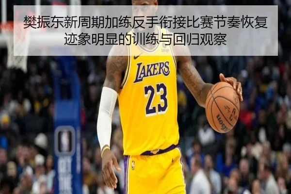 樊振东新周期加练反手衔接比赛节奏恢复迹象明显的训练与回归观察